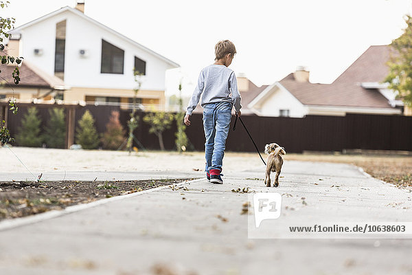 Rückansicht des Jungen beim Spaziergang mit Hund auf dem Fußweg