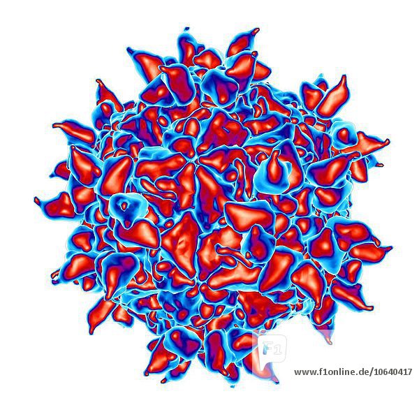 Human rhinovirus computer artwork.