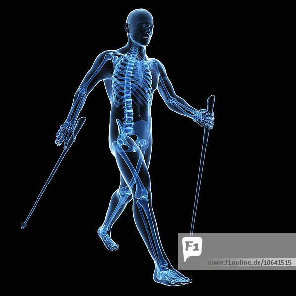 Nordic walker artwork