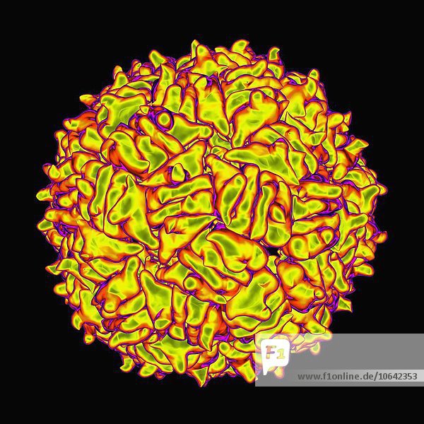 RNA hairpin virus  computer artwork.