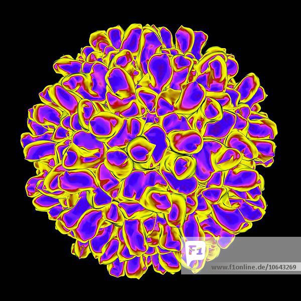 Carnation mottle virus  computer artwork.