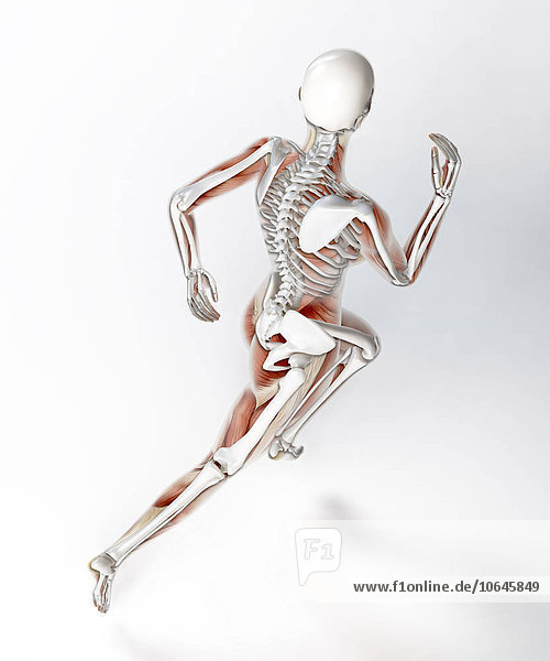 Skeleton of runner artwork