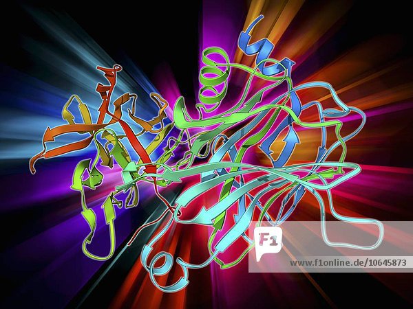 Anthrax protective antigen molecule