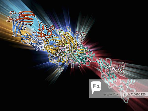 Integrin and fibrinogen complex molecule