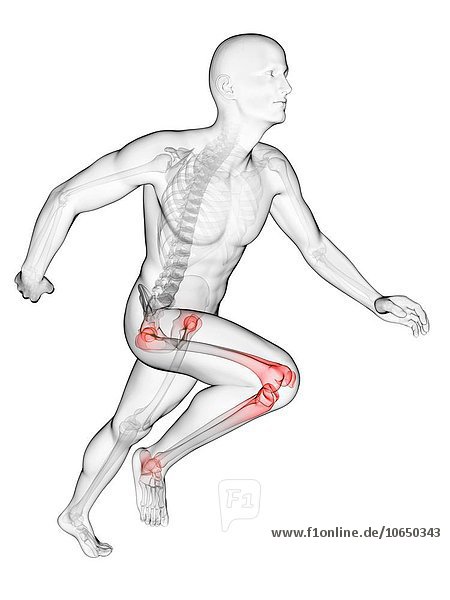 Runner's joints artwork