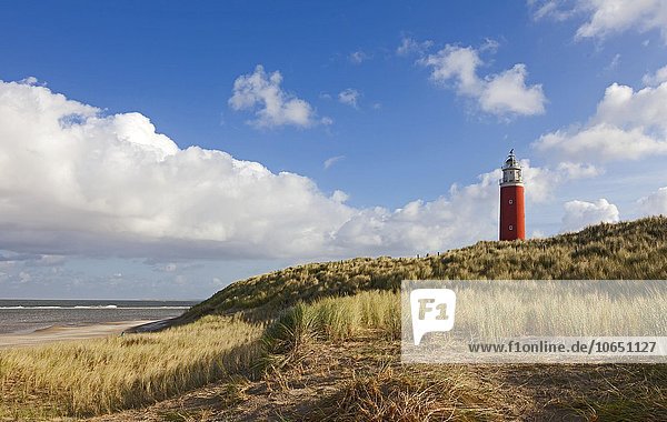 Leuchtturm Eierland mit Dünen  De Cocksdorp  Nordsee  Texel  Westfriesische Inseln  Provinz Nordholland  Holland  Niederlande  Europa
