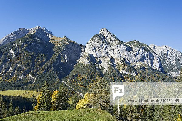 Von der Hasentalalm auf Gamsjoch und Roßkopfspitze  Hinterriss  Tirol  Österreich  Europa