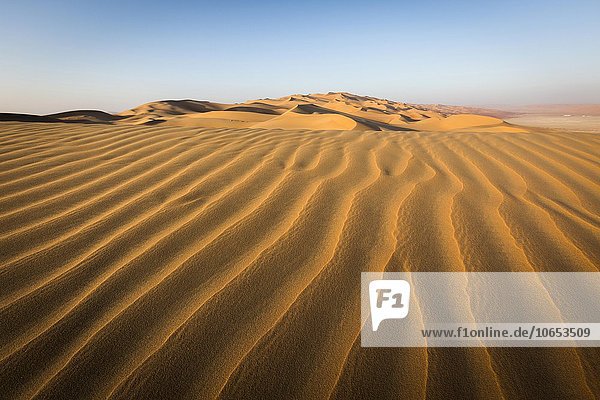 Sanddünen  Leeres Viertel  Empty Quarter  Sandwüste Rub al-Chali  auch Rub al-Khali  Vereinigte Arabische Emirate  Asien