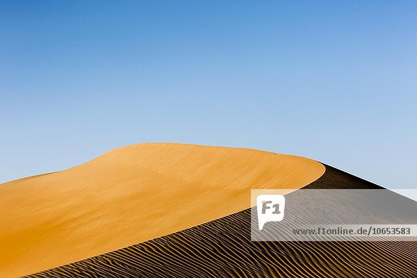 Formen und Strukturen  Licht und Schatten der Sanddünen  Leeres Viertel  Empty Quarter  Sandwüste Rub al-Chali  auch Rub al-Khali  Vereinigte Arabische Emirate  Asien