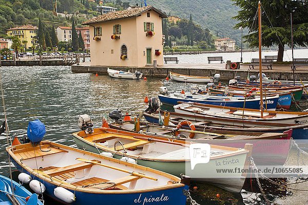 Ruderboote im Hafen  Torbole  Gardasee  Italien  Europa