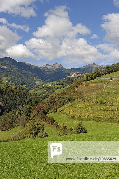 Latzfons vom Keschtnweg bei Pardell  Verdings  mit dem Königsanger und der Kassianspitze Eisacktal  Südtirol  Alto Adige  Italien  Europa