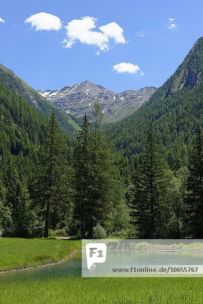 Quellwasser bei Burgum  mit Wilder Kreuzspitze  Innerpfitschtal  Pfitschtal bei Sterzing  Eisacktal  Südtirol  Alto Adige  Italien  Europa