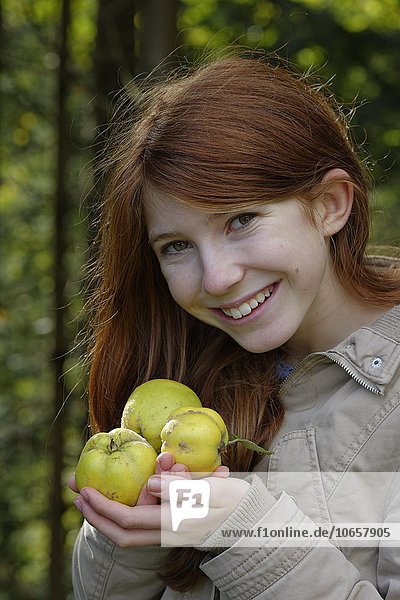 Girl  young woman holding quinces (Cydonia oblonga)  harvest  Constantinople quince  Upper Bavaria  Bavaria  Germany  Europe