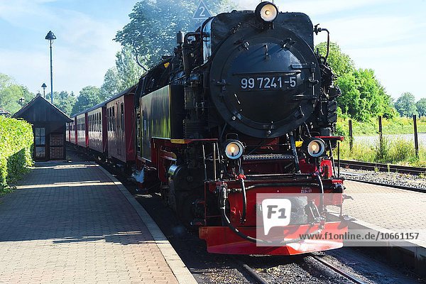 Brockenbahn bei der Ankunft im Bahnhof  Wernigerode  Harz  Sachsen-Anhalt  Deutschland  Europa