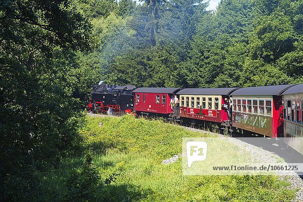 Brockenbahn auf der Fahrt zum Brocken  Harz  Sachsen-Anhalt  Deutschland  Europa