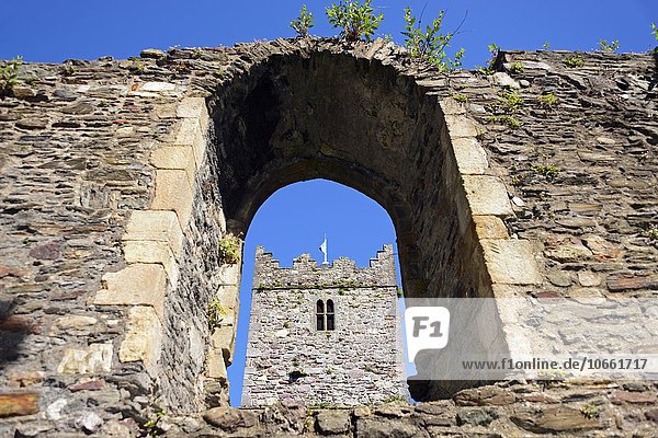 Greyfriars Church  ruins  Waterford  Ireland  Europe