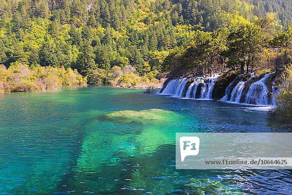Sparkling Lake  Wasserfälle  Jiuzhaigou-Nationalpark  Provinz Sichuan  China  Asien