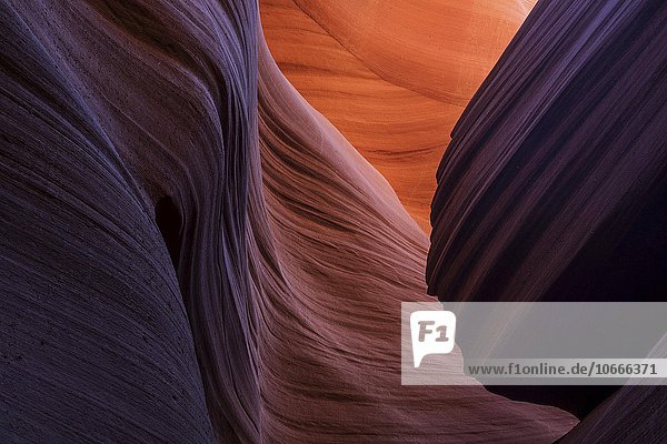Bunte Sandsteinformation  Lower Antelope Canyon  Slot Canyon  Page  Arizona  USA  Nordamerika
