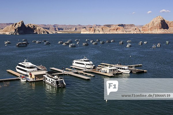Hausboote auf dem Lake Powell in der Wahweap Bay  hinten rote Navajo-Sandsteinfelsen  Page  Arizona  USA  Nordamerika