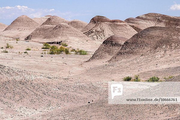 Karge Hügel  Erosionslandschaft am U.S. Highway 89  bei Cameron  Arizona  USA  Nordamerika