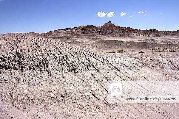 Felsen in karger Landschaft  Erosionslandschaft am U.S. Highway 89  bei Cameron  Arizona  USA  Nordamerika