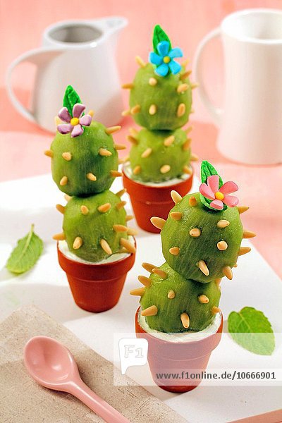 Kiwifruit cactus.