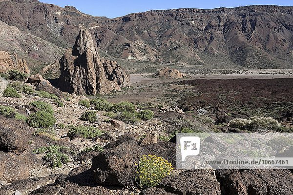Der Felsen La Catedral und die Hochebene Llano de Uruanca  Teide-Nationalpark  UNESCO Weltnaturerbe  Teneriffa  Spanien  Europa