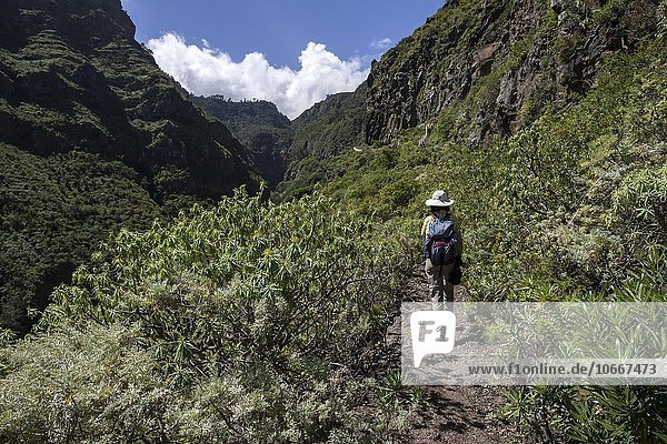 Hiker in Barranco de Ruiz  San Juan de la Rambla  Tenerife  Canary Islands  Spain  Europe