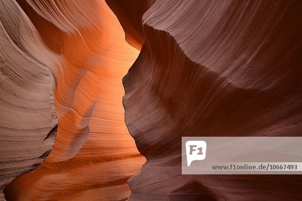 Roter Sandstein  Felsformation  Lower Antelope Slot Canyon oder Corkscrew Canyon  Page  Navajo Nation Reservation  Arizona  USA  Nordamerika