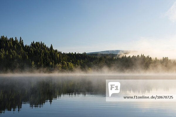 See mit Nebel  Dutch Lake  Clearwater  British Columbia  Kanada  Nordamerika