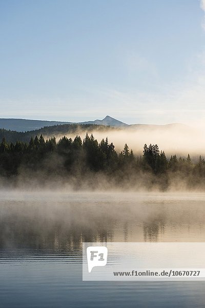 See mit Nebel  Dutch Lake  Clearwater  British Columbia  Kanada  Nordamerika