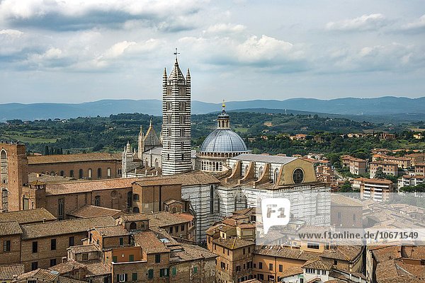 Ausblick  Altstadt mit Dom von Siena  Siena  Toskana  Italien  Europa