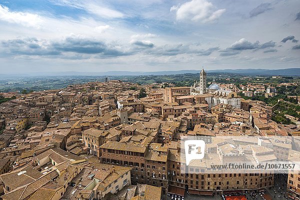 Ausblick über Altstadt mit Dom von Siena  Siena  Toskana  Italien  Europa
