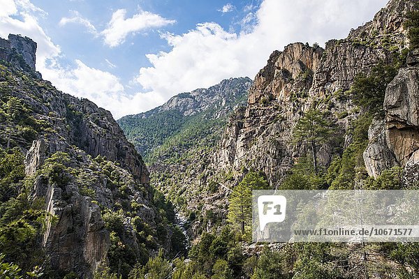 Flusstal des Tavignano  Felslandschaft  Corte  Département Haute-Corse  Korsika  Frankreich  Europa