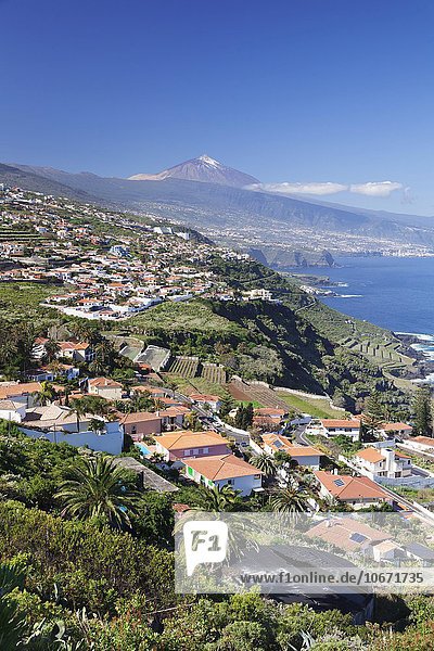 Ausblick von El Sauzal auf die Nordküste nach Puerto de la Cruz  hinten Teide  Teneriffa  Kanarische Inseln  Spanien  Europa
