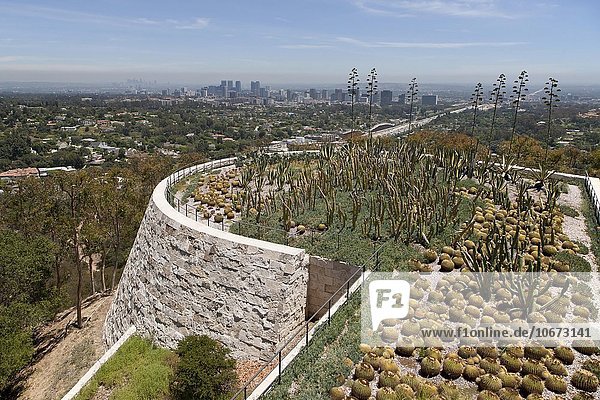 Cactus garden at the Getty Center  Los Angeles  California  USA  North America
