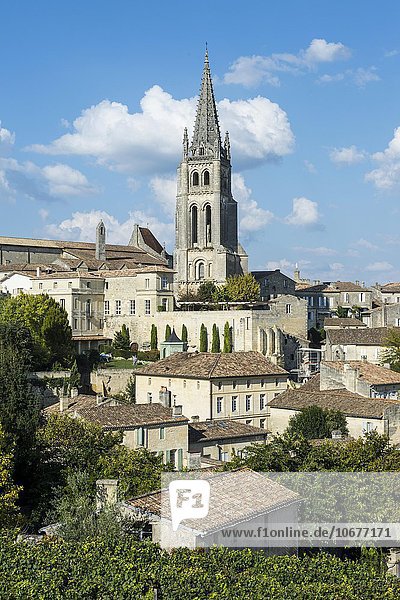 Ausblick über die Altstadt mit der Felsenkirche  Saint Emilion  Département Gironde  Frankreich  Europa