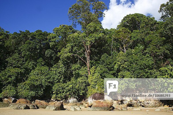 Strand mit Felsen und Regenwald an der Küste  Permai Rainforest  bei Santubong  Sarawak  Borneo  Malaysia  Asien