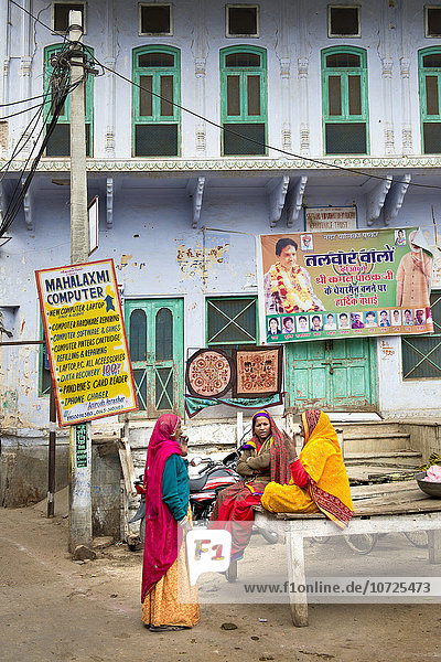 India  Rajasthan  Pushkar  daily life