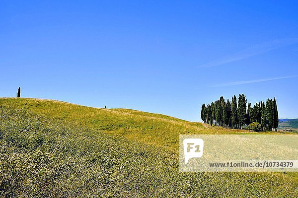 rollen Hügel grün Italien Toskana