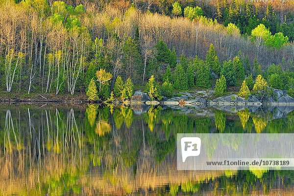 Spiegelung See Greater Sudbury Kanada Ontario Reflections