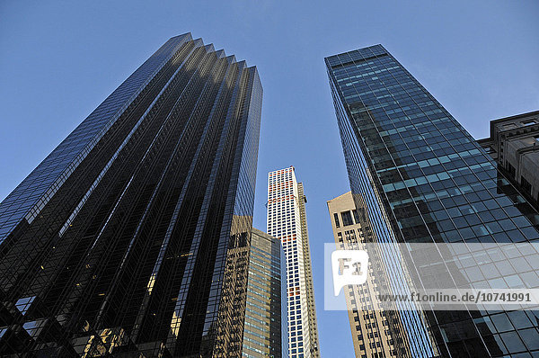 USA  New York  skyscraper