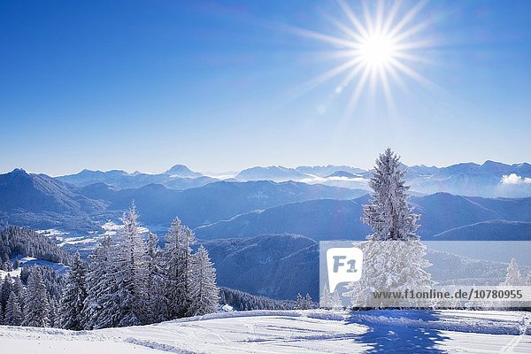 Skigebiet Brauneck bei Lenggries  Isarwinkel  Bayerische Voralpen  Oberbayern  Bayern  Deutschland  Europa