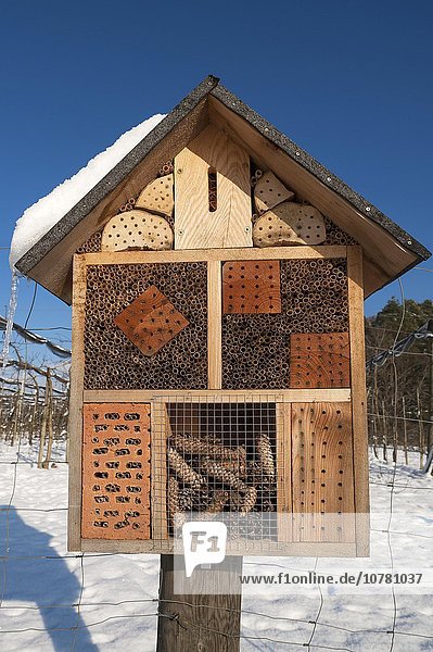 Insektenhaus im Winter  Bayern  Deutschland  Europa