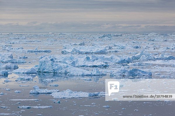 fließen Boot Eis angeln Ansicht Erhöhte Ansicht Aufsicht heben Diskobucht Disko-Bucht Grönland Ilulissat