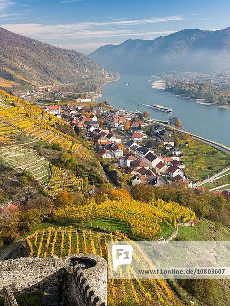 Europa Palast Schloß Schlösser Landschaft Wahrzeichen Ruine Dorf schreiben Kultur UNESCO-Welterbe Österreich Mitteleuropa Niederösterreich Weinberg