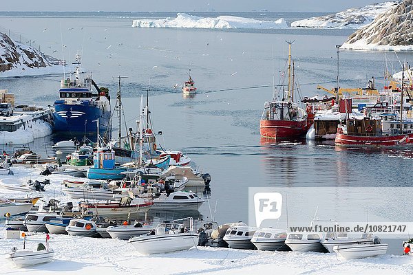 Fischerboot am Hafen  Disko Bay  Ilulissat  Grönland