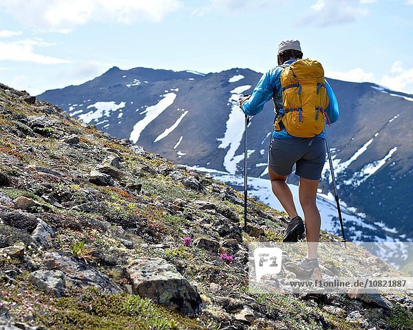 Female mountain climber walking uphill rear view Chugach State Park Anchorage Alaska USA