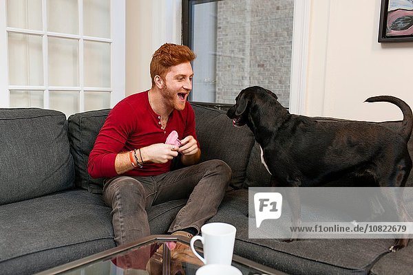 Junger Mann sitzt auf dem Sofa und spielt mit einem Hund  der den Mund aufmacht und lächelt.
