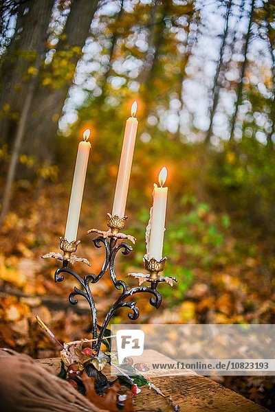 Candlelit candlestick in autumn forest at dusk